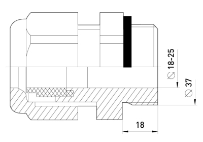 CONNECTOR E.PGL.STAND.29, WITH EXTENDED THREAD AND E.NEXT SEAL